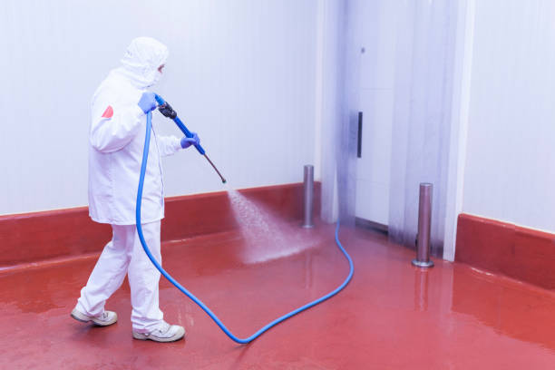 Best Dumpster Area Cleaning  in Church Point, LA